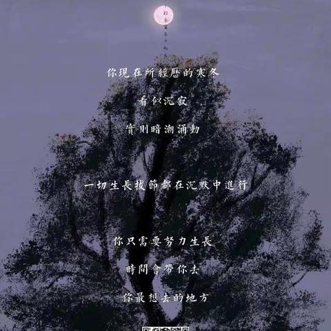 1105#打卡第482天