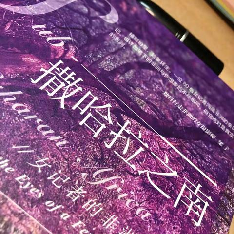 1026#打卡第479天