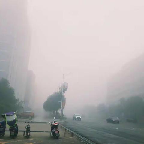 1102#打卡第481天