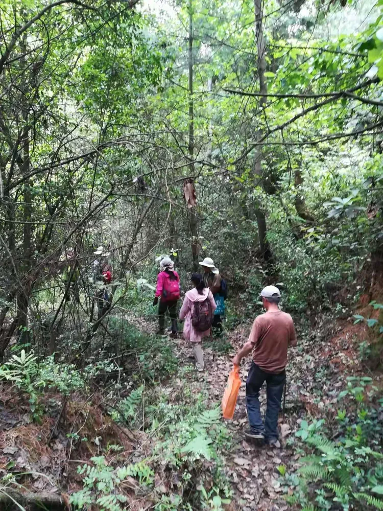5月21日车行天下走山乐