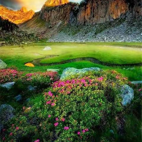 庆安女子诗社社课第71期  主题“人间四月天”