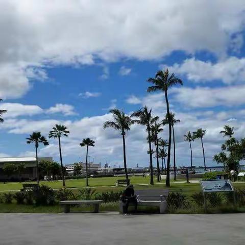 旅美游记