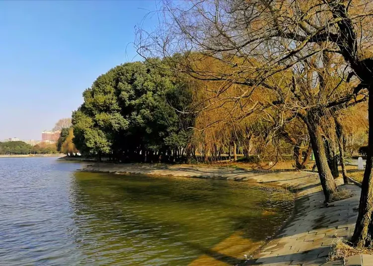 [江城.拾贝]*张毕湖公园.