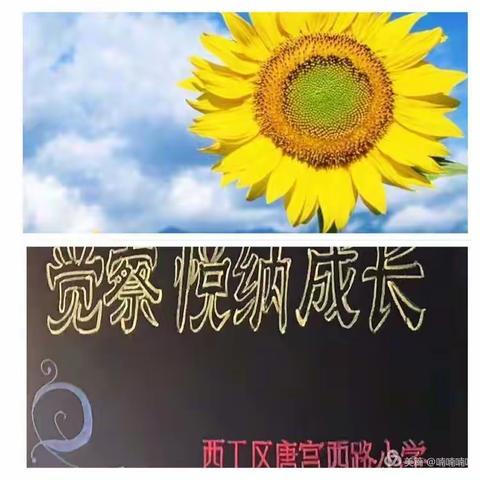 觉察 悦纳 成长—唐宫西路小学2019—2020学年第二学期期末读书交流会