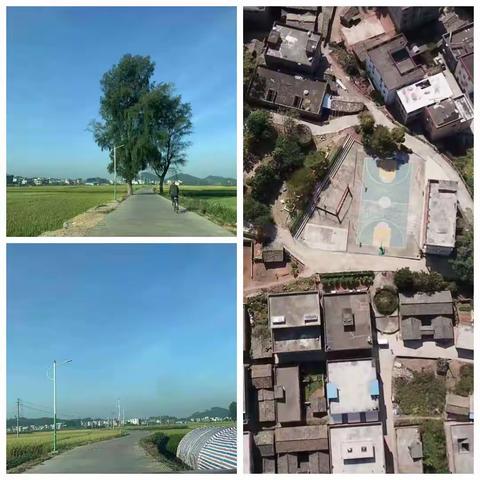 石西全民守土有责，守土负责，守土尽责，全力以赴打赢这场防疫冠状肺炎病毒保卫战