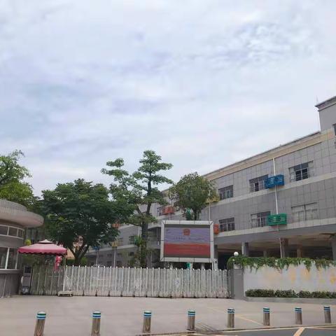 “宪法教育大讲堂”——坪山区华明星学校