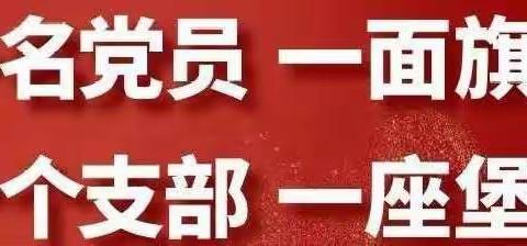 洛城二中防控疫情党旗飞扬系列报道