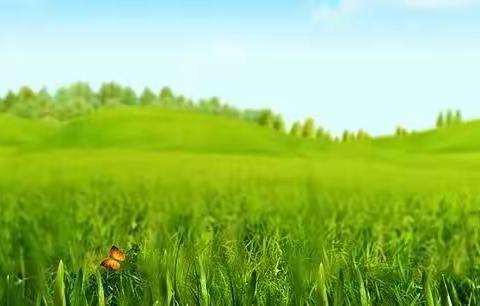 传承雷锋精神  树新时代榜样