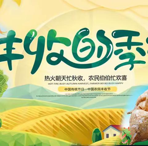 挖薯网鱼大作战——稻花香里话丰收