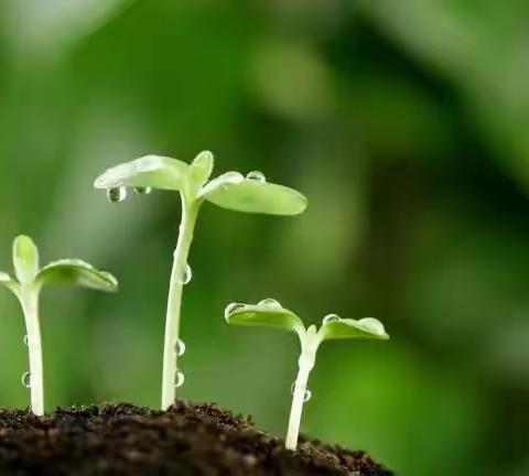 成长的路——记暑假勤工俭学实践活动