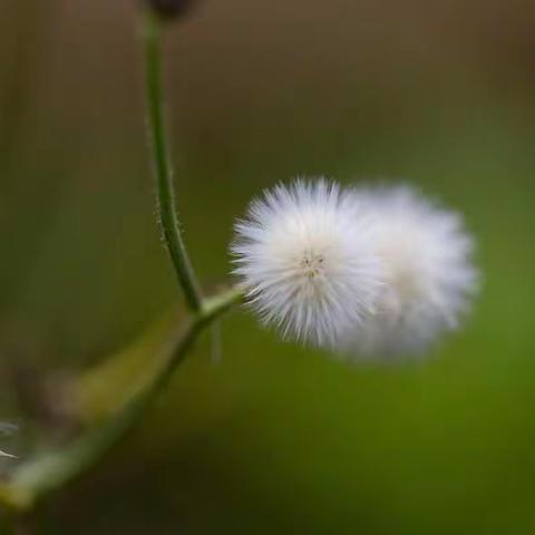慎言慎独