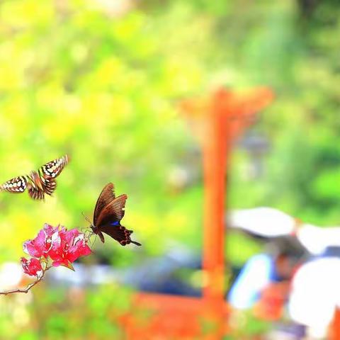 英德九重天2019.8.4