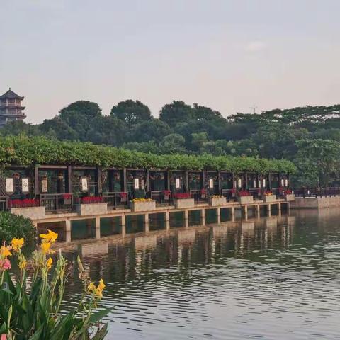 浮生偷得半日闲