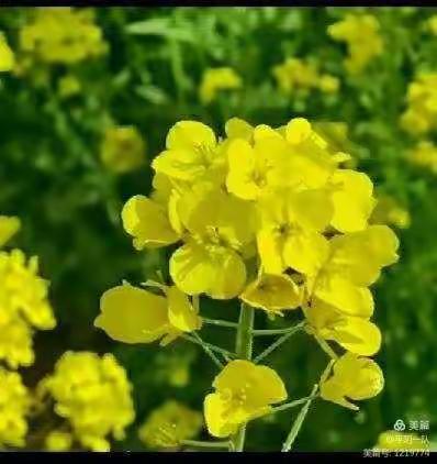 平阴一队2021年工作纪实之十