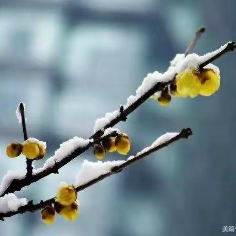 平阴一队工作纪实之二