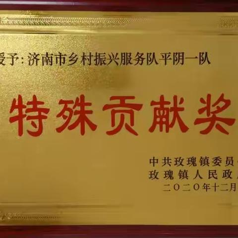 平阴一队工作纪实之一