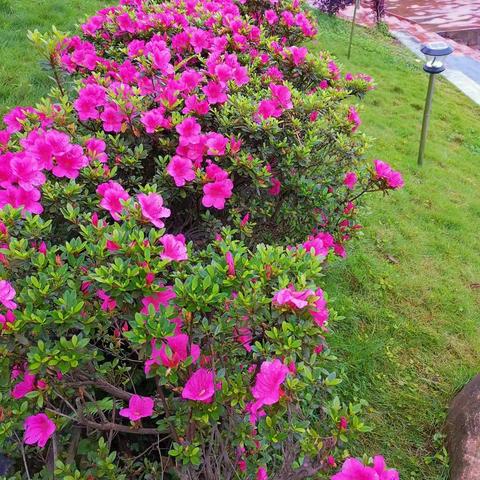 寒假教师读书笔记展，看有没有你