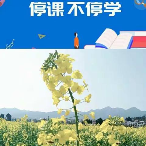 春暖花开，曙光将至――大椿乡杨津小学第五周“停课不停学”报告