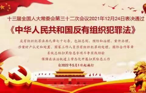 《反有组织犯罪法》宣传教育|全文阅读