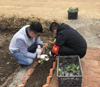 第十一管理区开展党员在身边主题党日活动