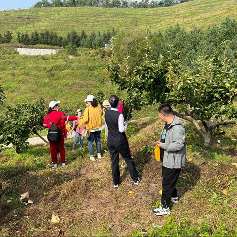 “欢度国庆 情系私行”凤城支行客户大梨树采摘活动