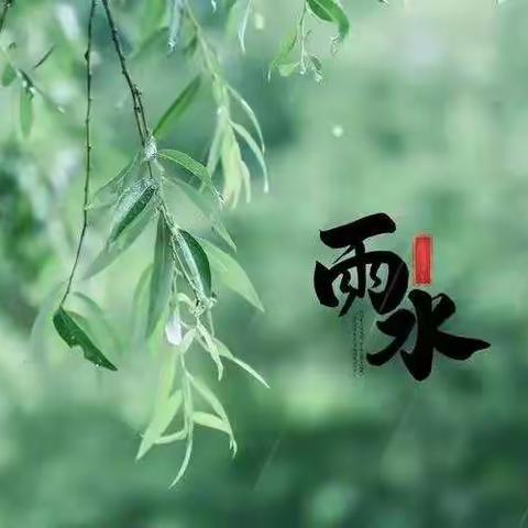 二十四节气--雨水