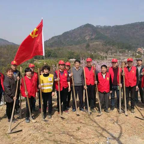 后宅街道曹村党支部率领党员，村民代表，村民参加建设美丽乡村义务劳动。