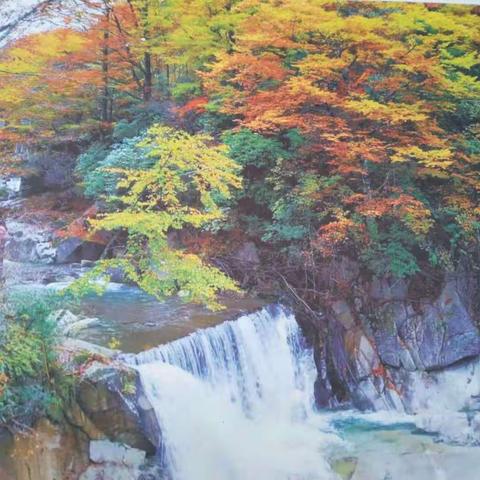 在水一方的美篇