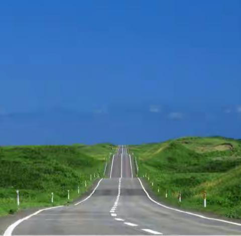 语文综合实践活动——轻叩诗歌大门活动纪实