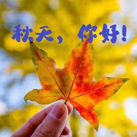 我眼中的“秋”——三（5）班语文创新作业展示