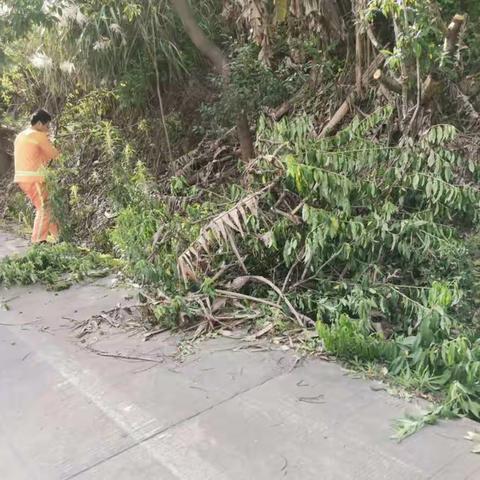 永定交通：全力以赴抢险救灾   有序推进灾后重建