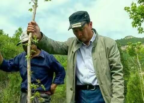 石崮寨植树节丨我为泉城添绿色，亲子活动！