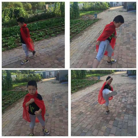 卜星辰的快乐暑假，过得有点悠闲