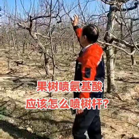 果树涂杆