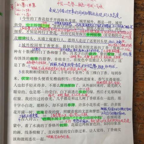 紫阳三小六（4）班励志学霸语文笔记！