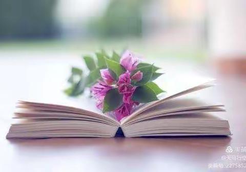 “磨”出精彩，“研”助成长--翟正松小学科学名师工作室课例研讨活动