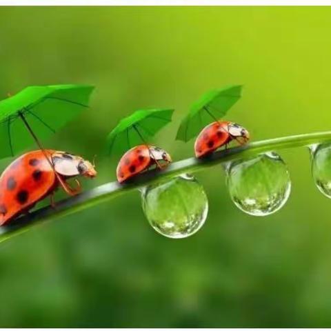 “科学”抗疫，师生在行动