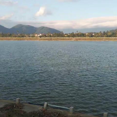 海阔凭鱼跃的美篇