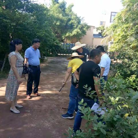 区农业农村局滨江西污水处理厂土地征收工作日记（9月16日）