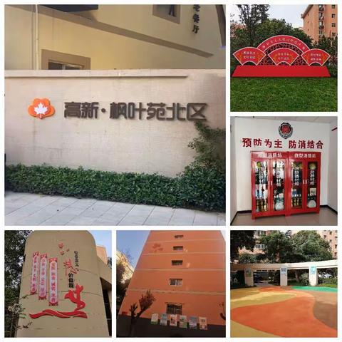 北区项目2020年工作汇报（副本）