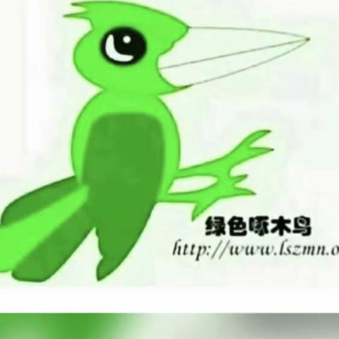 绿色啄木鸟洋桥“斑马线”10.1假期志愿服务纪实