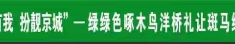 绿色啄木鸟“冬奥有我 扮靓京城”之五洋桥斑马线常态化活动纪实