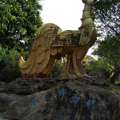 云南自助游（五）芒市勐巴娜西珍奇园和树包塔