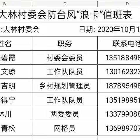 大林村委会防控16号台风“浪卡”工作部署
