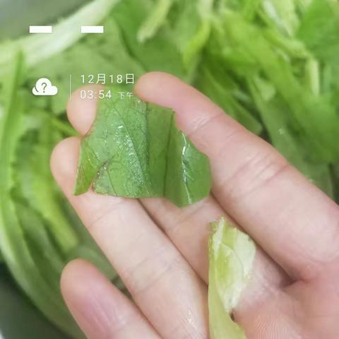 李艳菊13781960179的美篇