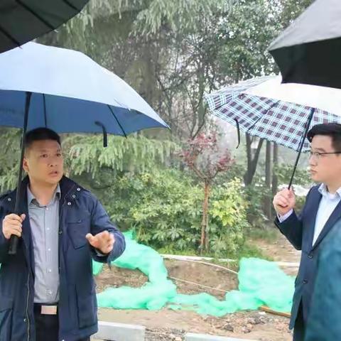 [检查]王卫兵检查冬季绿化工地及市政维护等工作，并召开现场会议