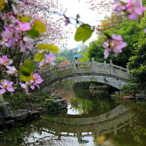 孙彤诵读朱自清《春》