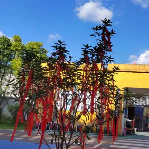 “最美开学季”——天柱二幼中二班9月份幼儿成长记录