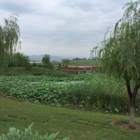 洪水洗劫大石河公园