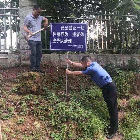 强化露天焚烧管控 打好污染防治攻坚战